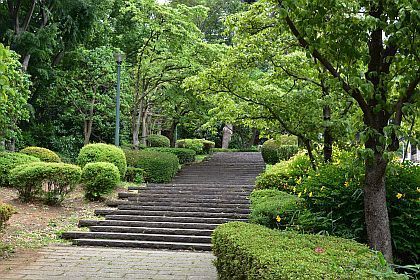 好きなもの だけ ブルーに生まれついて 美化してる けどよかった